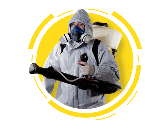 Pestarest.bg-дезинфектор-дезинфекция-дезинсекция-и-дератизация-от-ДДД-фирма-ПестАрест Солюшънс